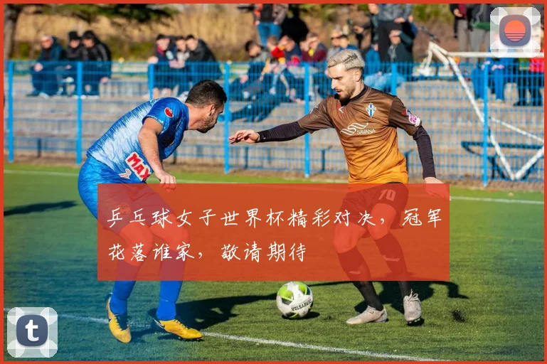 乒乓球女子世界杯精彩对决，冠军花落谁家，敬请期待