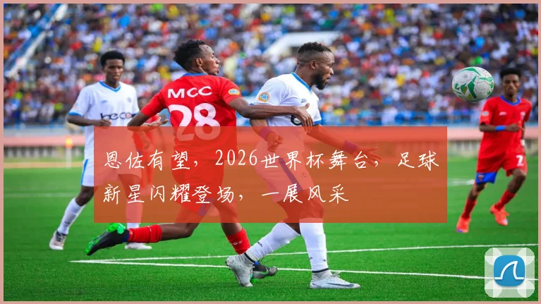 恩佐有望，2026世界杯舞台，足球新星闪耀登场，一展风采