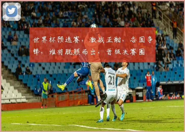 世界杯预选赛，激战正酣，各国争锋，谁将脱颖而出，晋级决赛圈